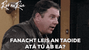 Irish Gaeilge GIF by Ros na Rún