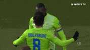 Football Sport GIF by VfL Wolfsburg