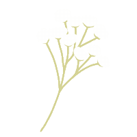 Flower 花 Sticker