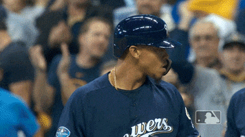 milwaukee brewers GIF by MLB