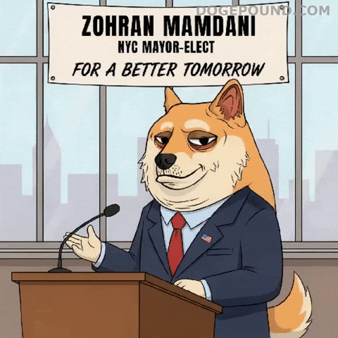 I Told You So Deal With It GIF by Doge Pound