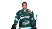 SteelersBietigheim eishockey steelers del scb Sticker