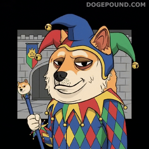 Sarcastic Shiba Inu GIF by Doge Pound