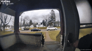 Woman Falls on Slippery Front Steps 