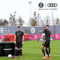 Robert Lewandowski Reaction GIF by FC Bayern Munich