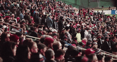 soccer mls GIF by D.C. United