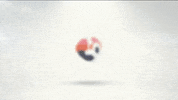 Animation Logo GIF by Swadbudhe