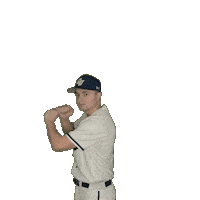 Clarke Baseball Sticker by Clarke University