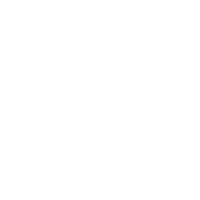 Lifenews Sticker by Life.ru