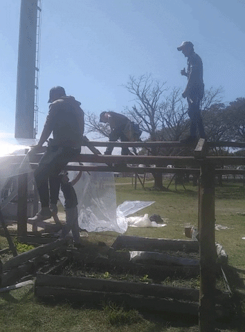 gretelbeatriz giphygifmaker GIF
