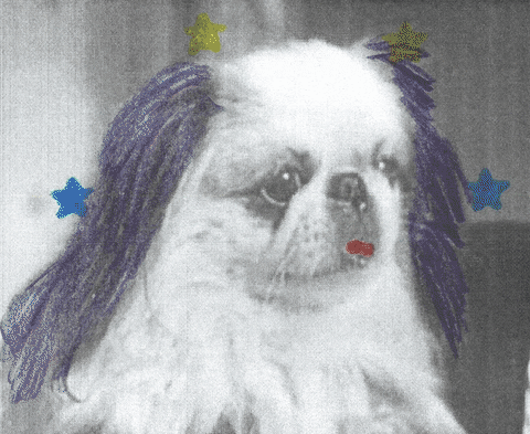 Surprised Ice Cream GIF by Beeld en Geluid