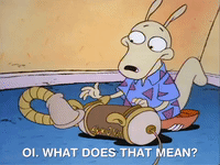 rockos modern life nicksplat GIF