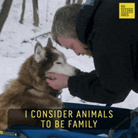 Cat Love GIF by 60 Second Docs