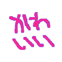 Word Japanese Sticker