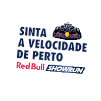 Curitiba Gives You Wiiings Sticker by Red Bull