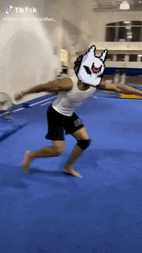 tinycolony gamer solana tinycolony GIF