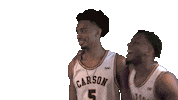 Happy Cnmb Sticker by Carson-Newman Athletics