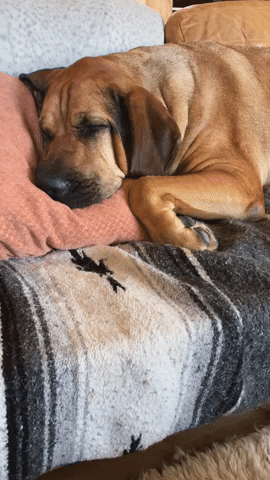 Take a nap