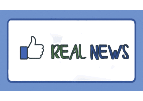 anamillowitschjasikovac giphyupload denied fakenews fakenews realfakenews Sticker