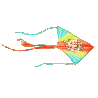 Music Festival Sticker by Baja Beach Fest
