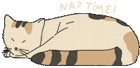 Sleepy Cat Sticker