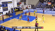 basketball wnba GIF by Cecilia Zandalasini