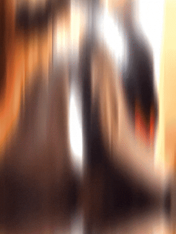 1 Pick Macc GIF by New 11