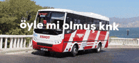 Hadi Ya GIF