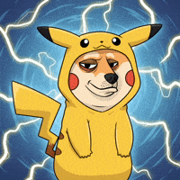 Shiba Inu Dog GIF by Doge Pound