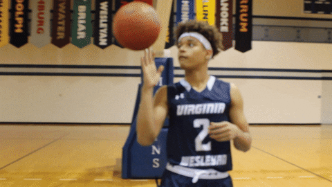 vwu_marlins giphyupload marlins vwu wethebeach GIF