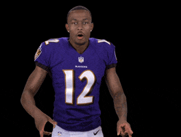 Minnesota Vikings Football GIF by NFL