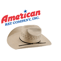american horse Sticker by Katie