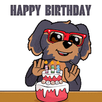 Happy Birthday Party Sticker by BoDoggos