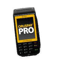 Pagamento Sticker by Felithi