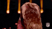 Super Bowl Football GIF by NFL
