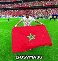 Morocco Dz GIF