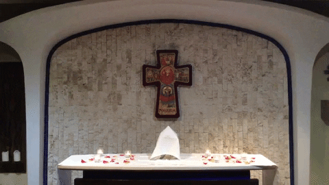 sjcsp2020 giphygifmaker GIF