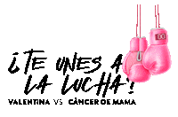 Pink Rosa Sticker by Valentina Brand