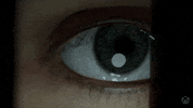 Summer Camp Game GIF by Xbox