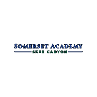 Academica Schools Sticker by Academica