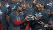 World Series Sport GIF by MLB