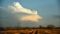 'Strobe Effect': Lightning Illuminates Storm Clouds in Australia's Northwest as Region Heads Into Wet Season