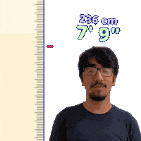 7 Foot 7Ft Sticker