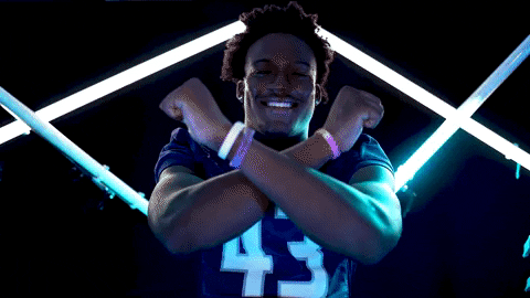 Old Dominion Sport GIF by ODU Football