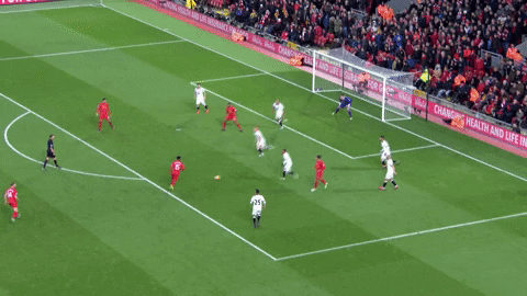 lfc watford GIF by Liverpool FC