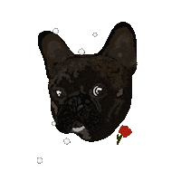 Bulldog Cute Dog Sticker