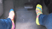curvesbyhiitfit  GIF