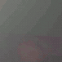 Stock Trading Memecoins GIF by Bobo Memes