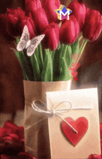 Feliz Amigos GIF by Murcianys LLC