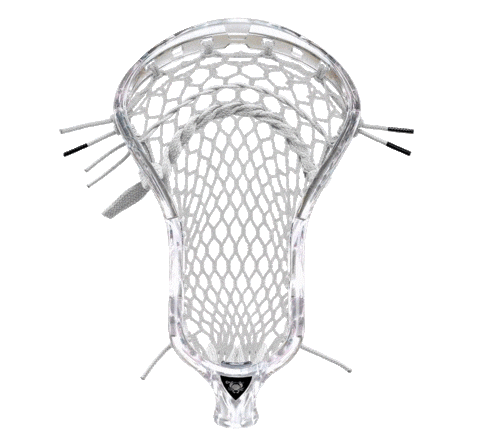 East Coast Dyes Lacrosse Head Sticker by ECD Lacrosse